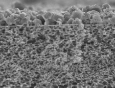SEM image showing surface contamination, polyamide active layer and porous polysulphone support layer.